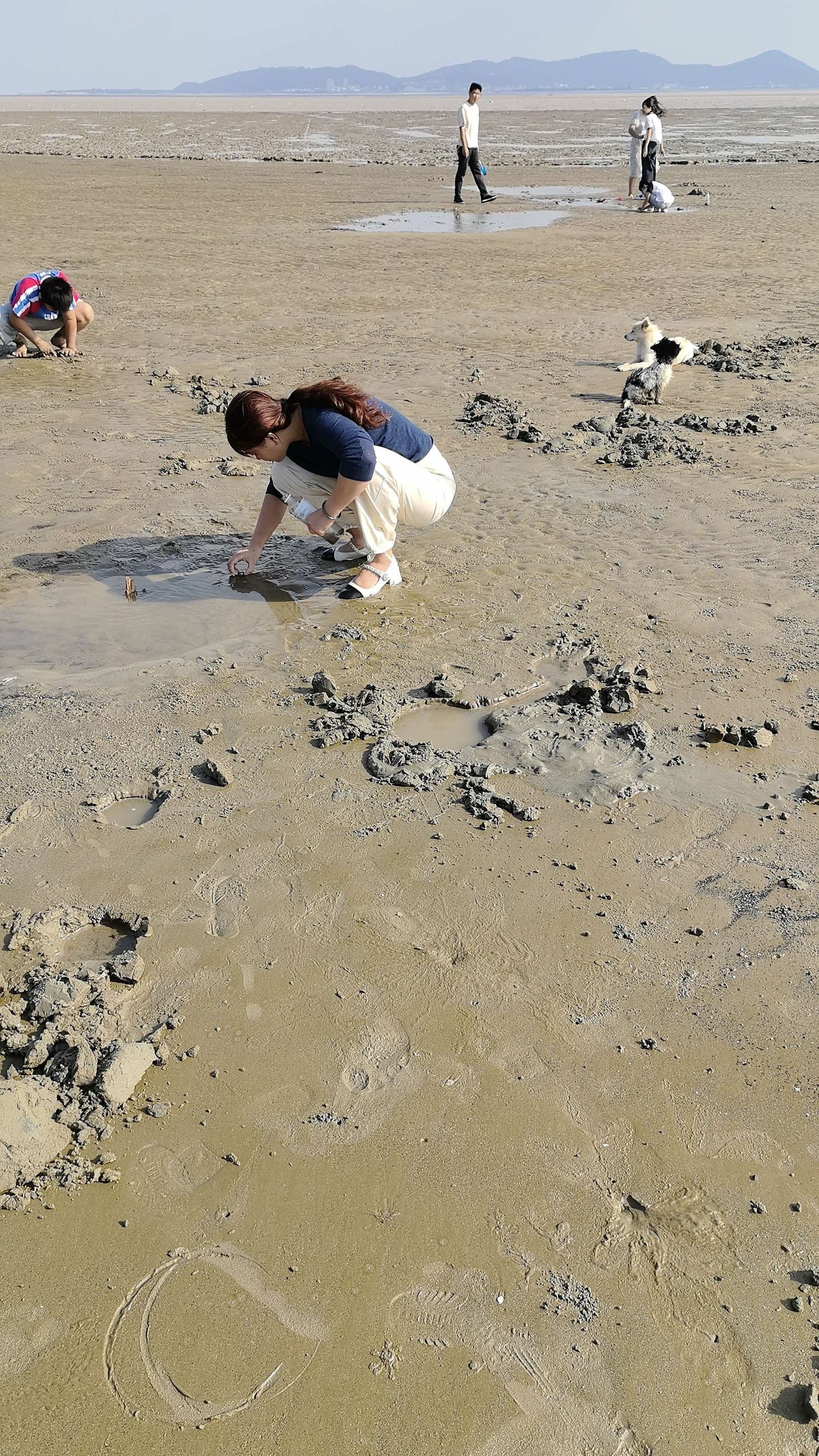 客人在滩涂上赶海