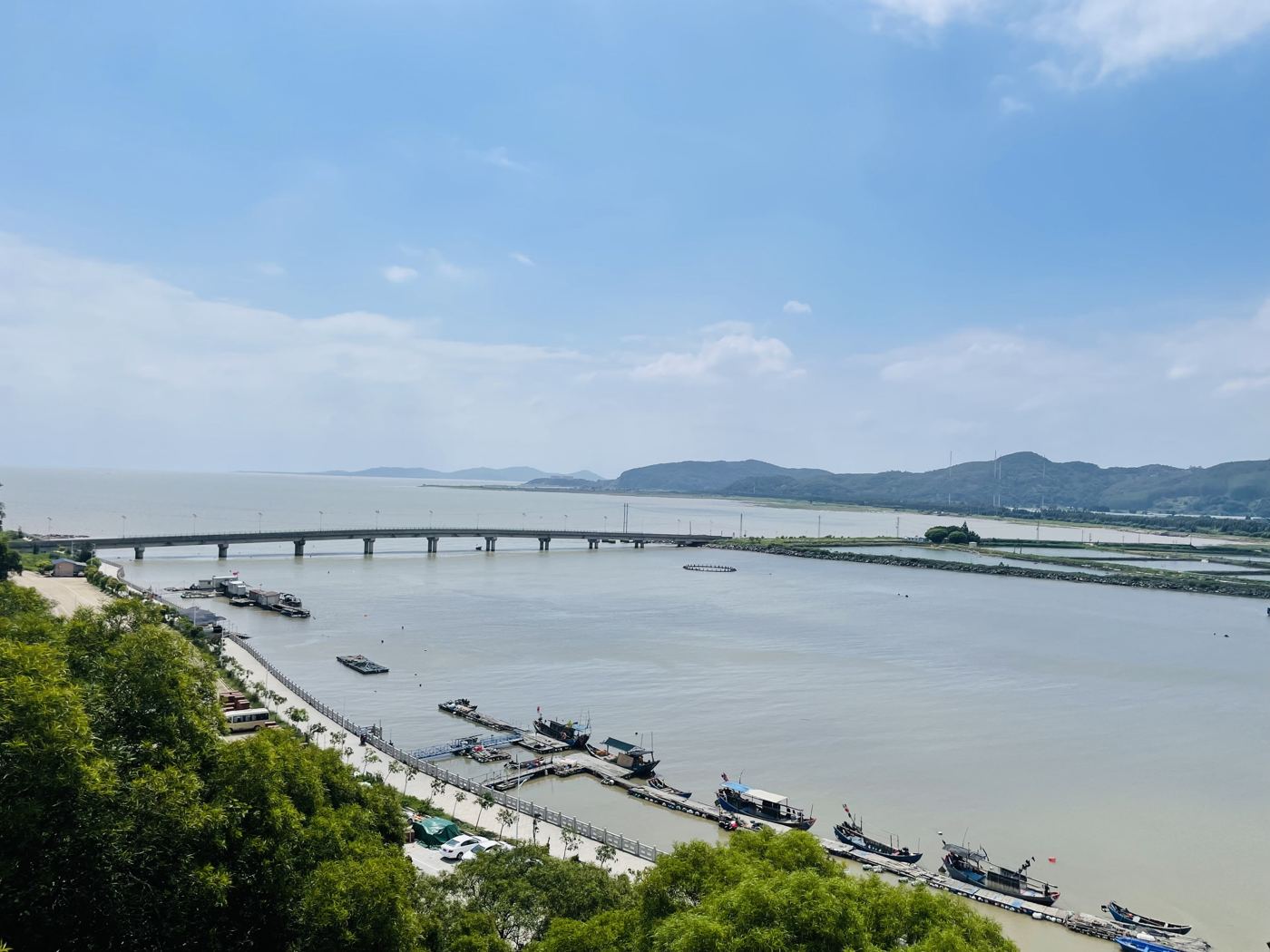 山顶看到的海湾和跨海大桥